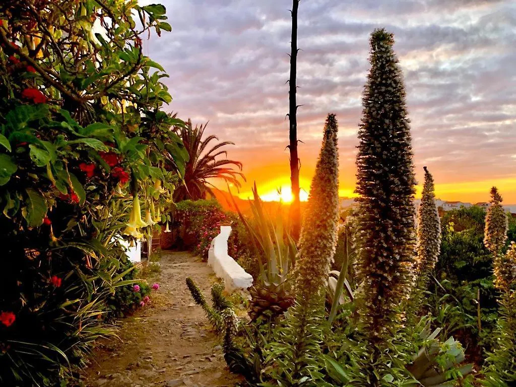 Unique Canarian Cottage 1700S - Casa Salvia Las Aguas - Ocean & Natural Pools 150M - Whole Gated House San Juan de la Rambla Spain